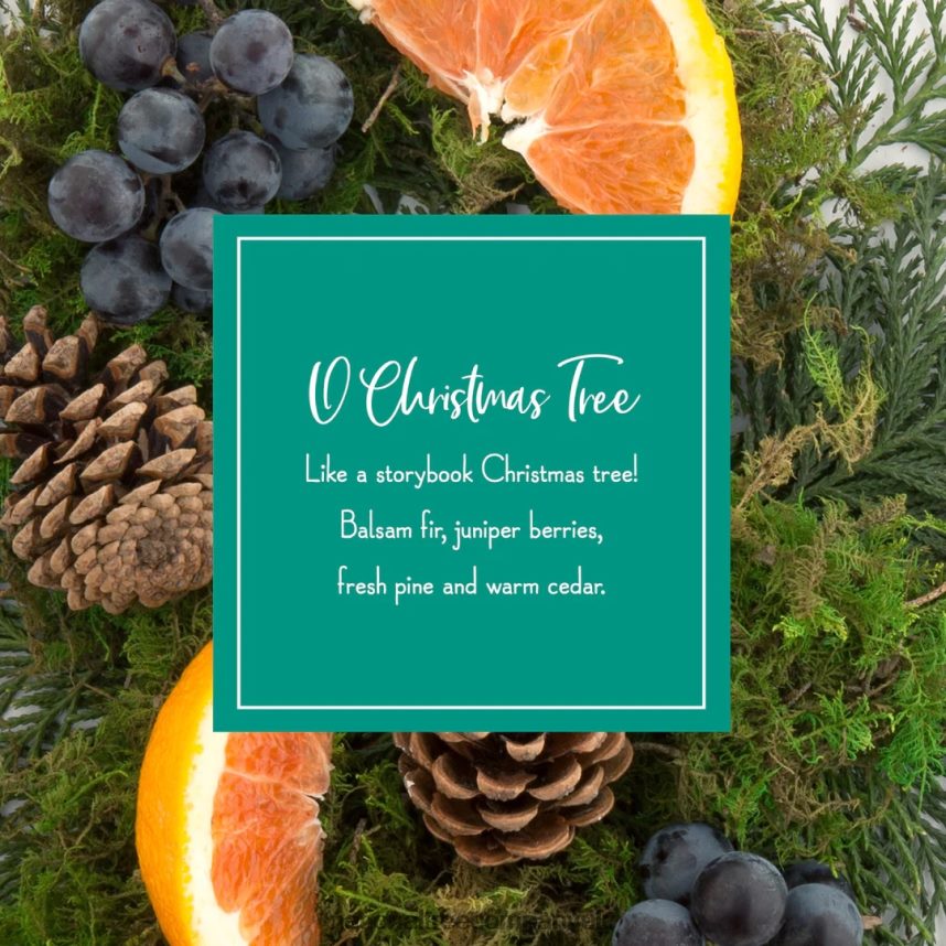 decoration | National Tree Company Scented Ornaments 2- Pack- 6ct Bottle O Christmas Tree Fragrance-Infused Paper Sticks F2L4F542